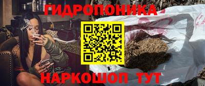 стафф Гусиноозёрск