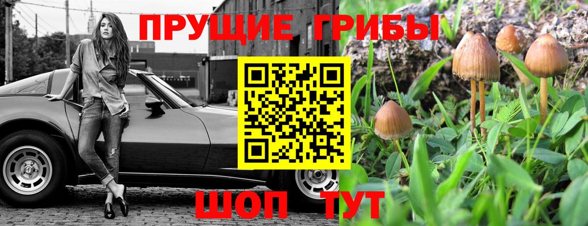 Псилоцибиновые грибы Psilocybine cubensis  Вход с VPN  Новошахтинск 